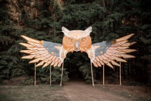 Sowa na Las Festiwal